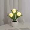 2e4a15f31a595083a0c853bc4cb10f95.jpg Tulip Flower LED Table Lamp – Decorative Bedside Ambient Light random colour