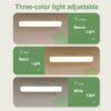 34aeb615ece54aa7b03bf82239aec612-goods.jpeg Rechargeable LED Light for Bedroom with 2 Bases 3 Colors Magnetic Emergency Desk Study Lamp with Rem