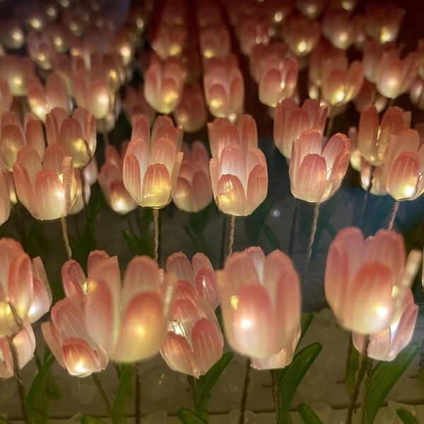 5d7af755-e7f2-4456-ae70-6f42b6944dfb.jpg Night Light in The Shape of a Cloud Flower Sea Tulip