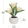 e37ddd895657f4dc459234fb59577ac9.jpg Tulip Flower LED Table Lamp – Decorative Bedside Ambient Light random colour